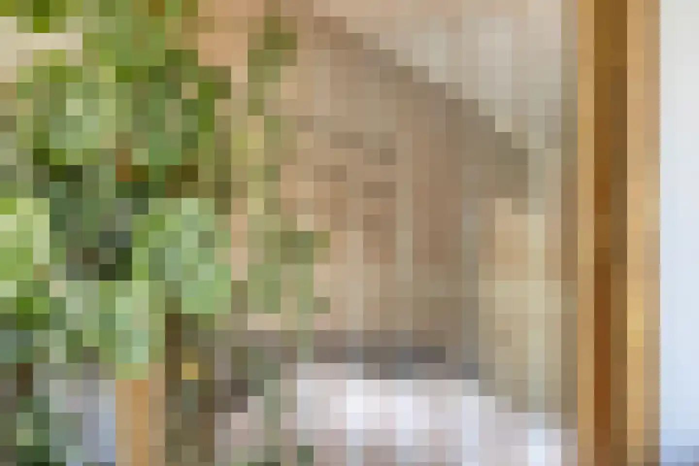 Ouwenberg 26 Eindhoven thumbnail 37
