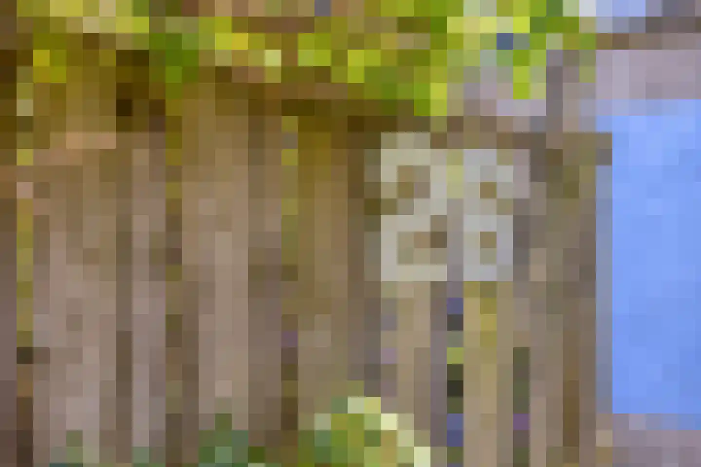 Ouwenberg 26 Eindhoven thumbnail 8