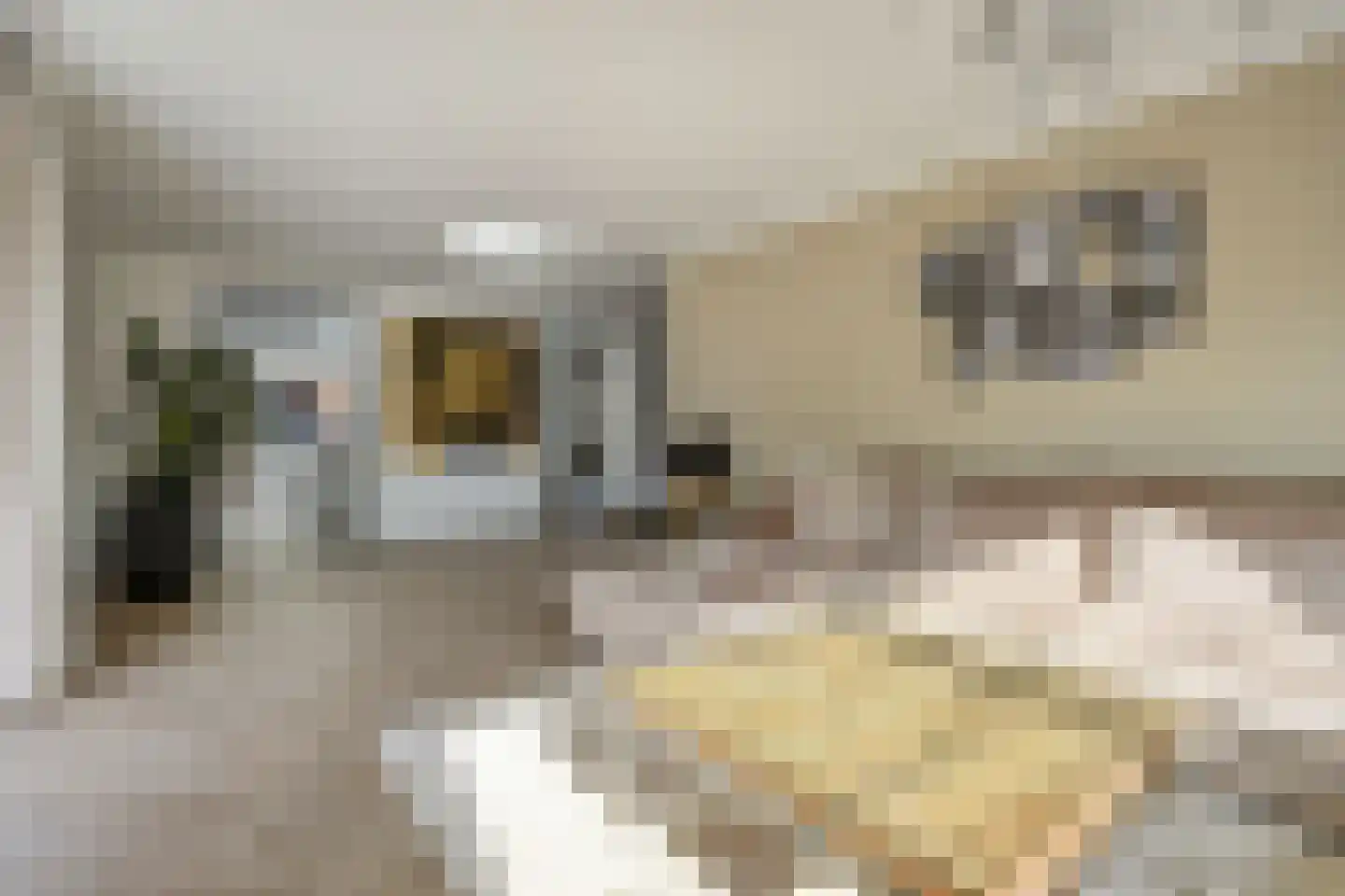 Ouwer 5 Etten-Leur thumbnail 11