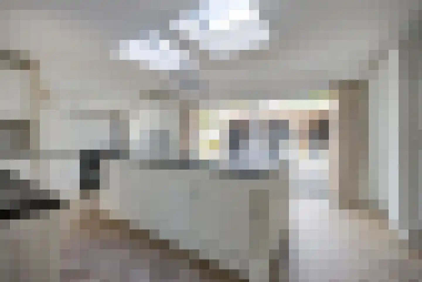 Ouwer 5 Etten-Leur thumbnail 13