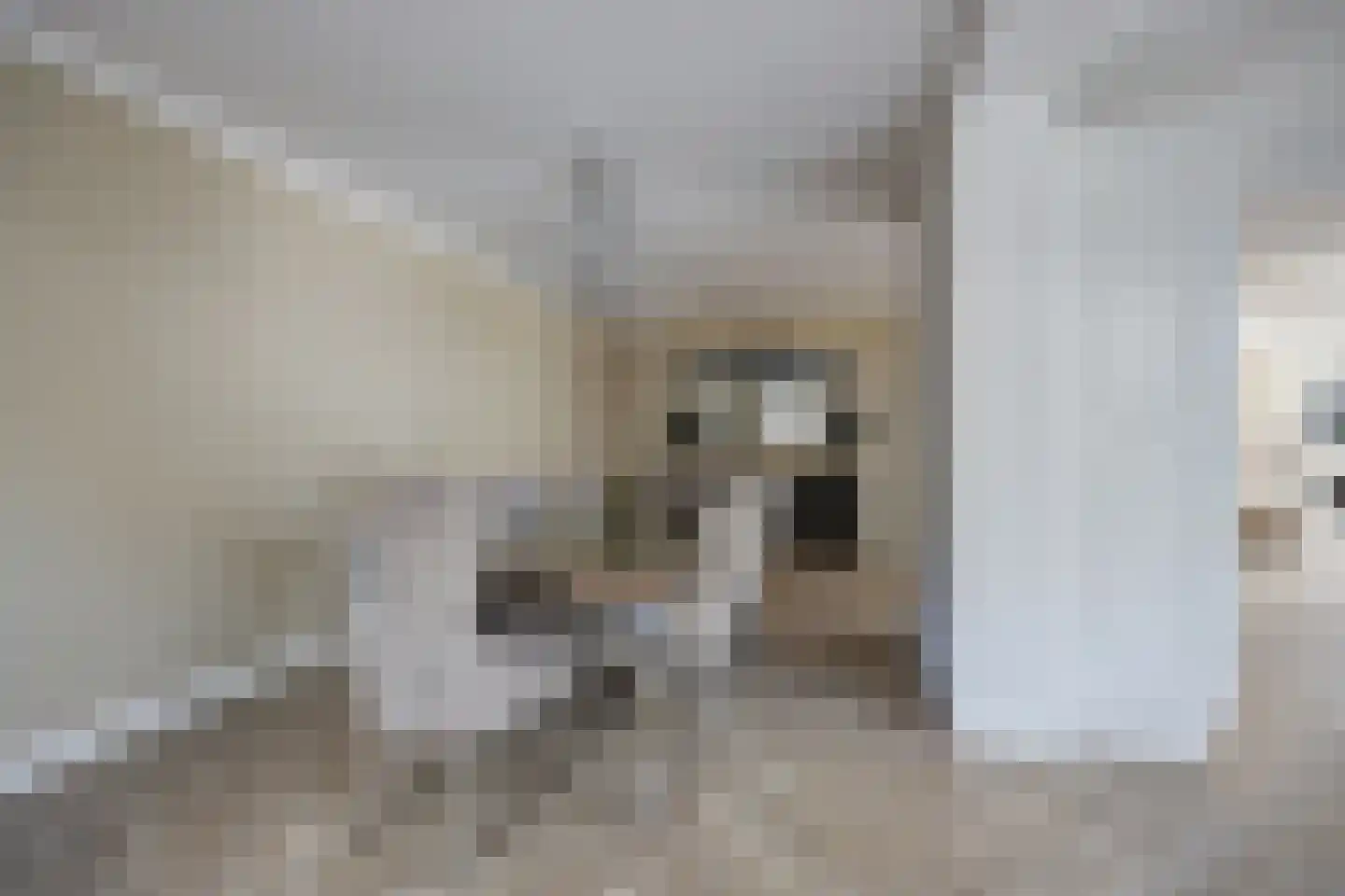 Ouwer 5 Etten-Leur thumbnail 21