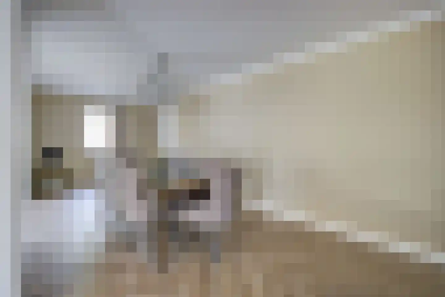 Ouwer 5 Etten-Leur thumbnail 22