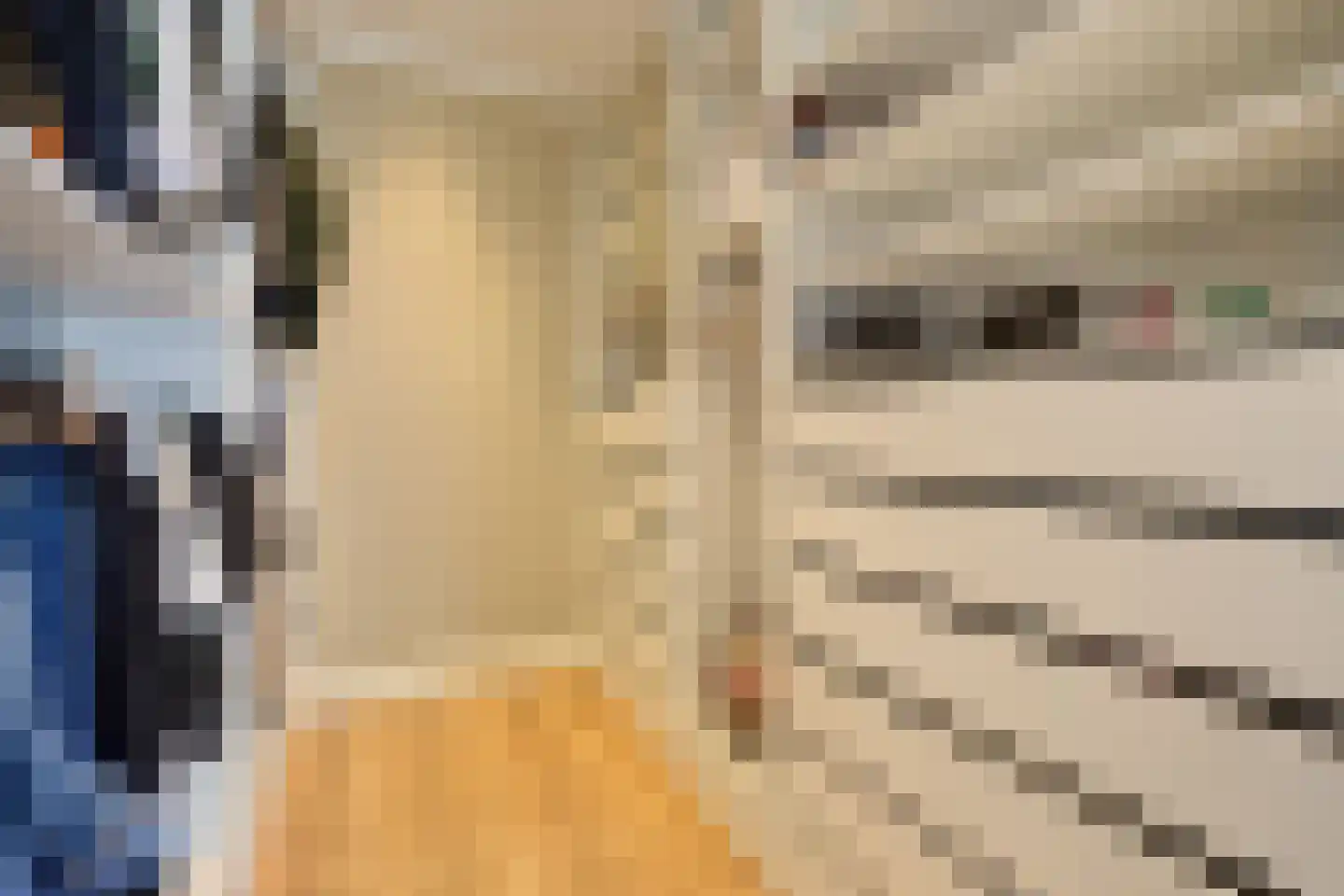 Ouwer 5 Etten-Leur thumbnail 30