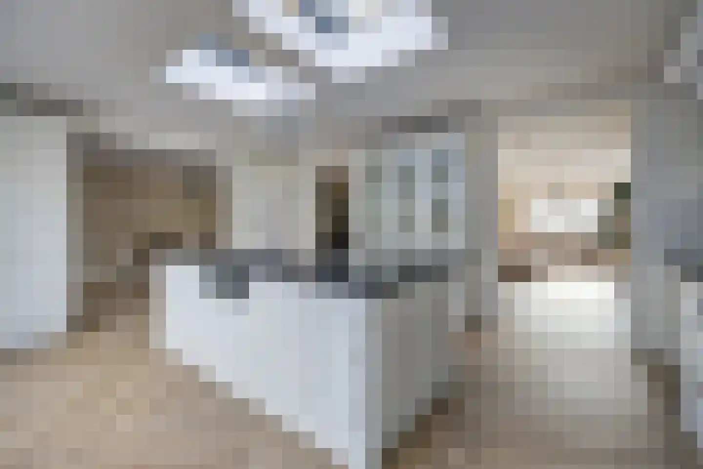 Ouwer 5 Etten-Leur thumbnail 4