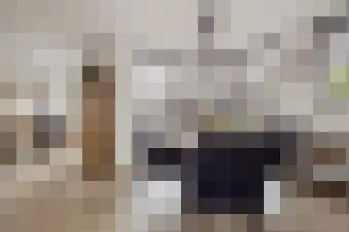 Ouwer 7 Etten-Leur thumbnail 15