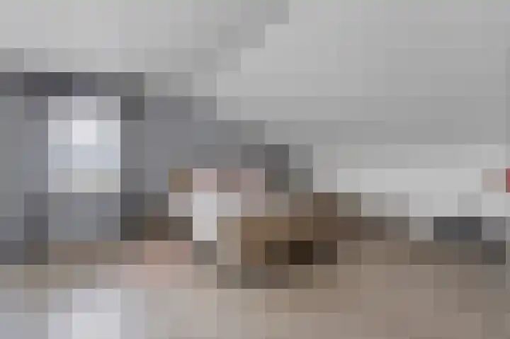 Ouwer 7 Etten-Leur thumbnail 21