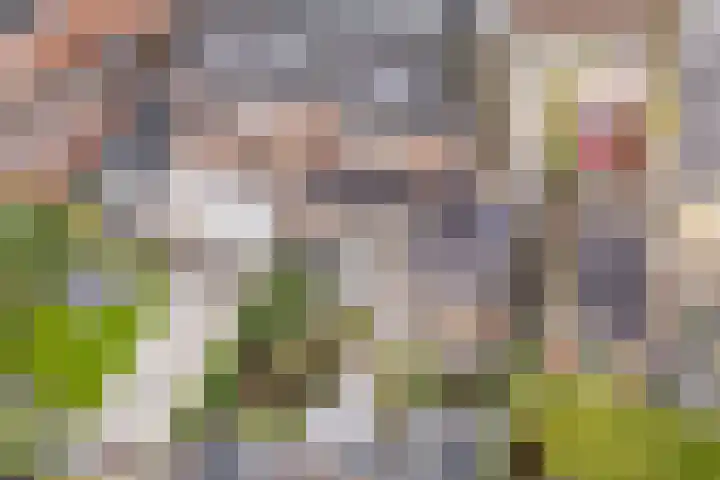 Ouwer 7 Etten-Leur thumbnail 23