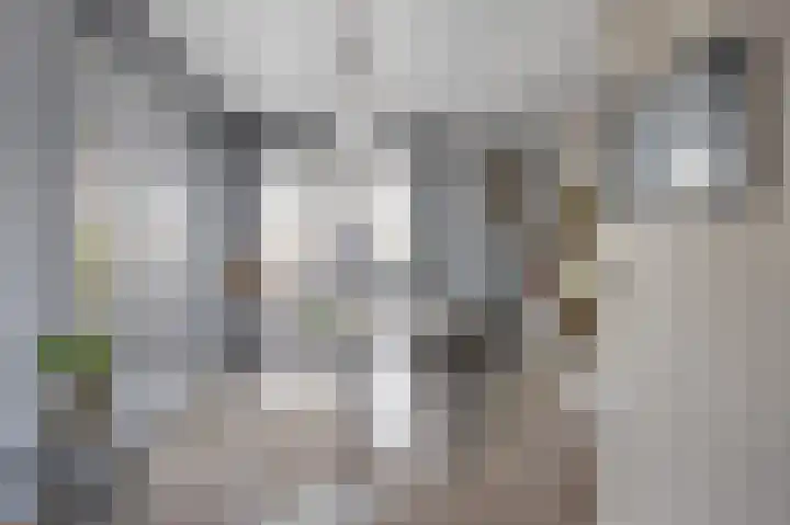 Ouwer 7 Etten-Leur thumbnail 29