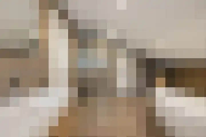 Ouwer 7 Etten-Leur thumbnail 33