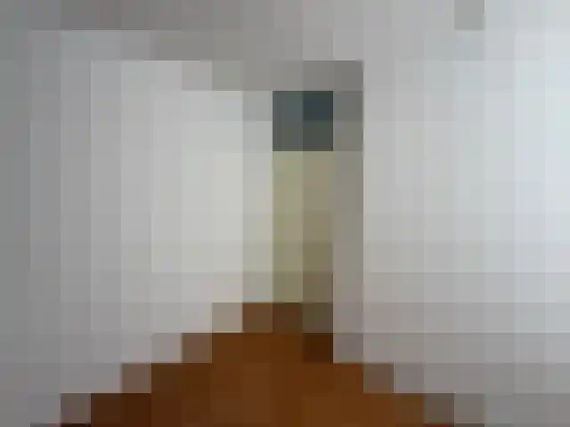 Ouwesteijn 39 Berlicum thumbnail 14