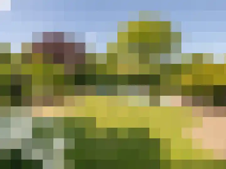 Ouwlandsedijk 21 Nuenen thumbnail 32