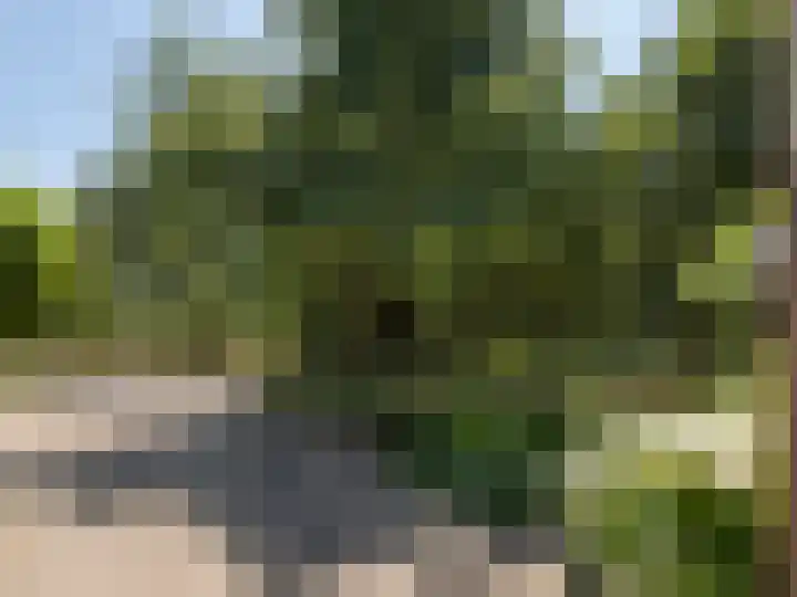 Ouwlandsedijk 21 Nuenen thumbnail 34
