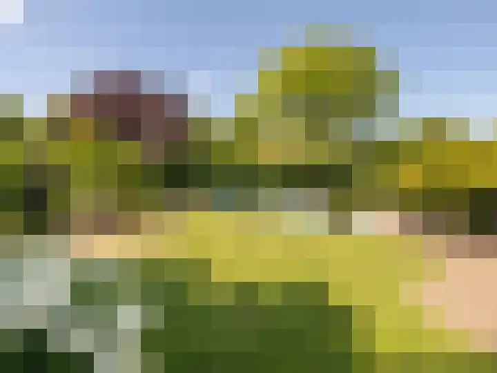Ouwlandsedijk 21 Nuenen thumbnail 5