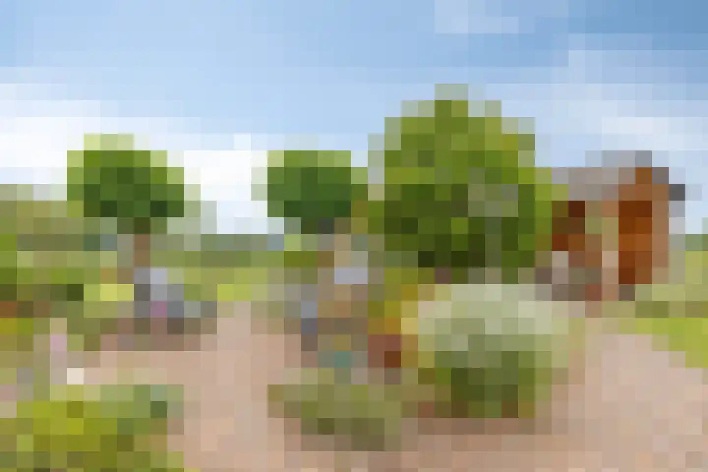 Over de Beek 12 Gaanderen foto 3