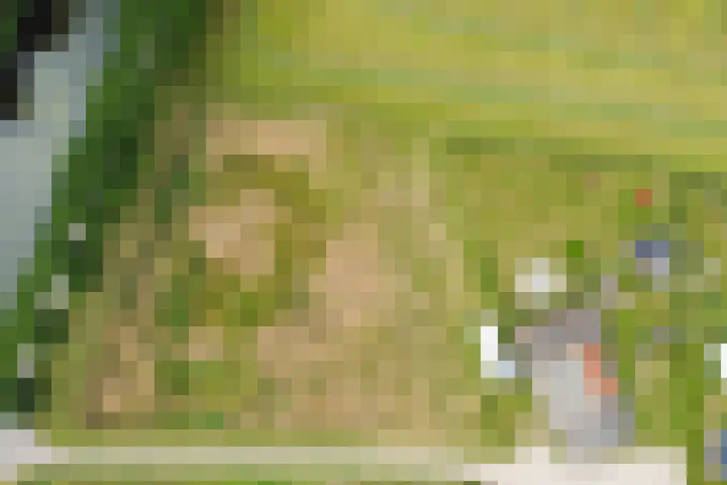 Over de Beek 12 Gaanderen thumbnail 47