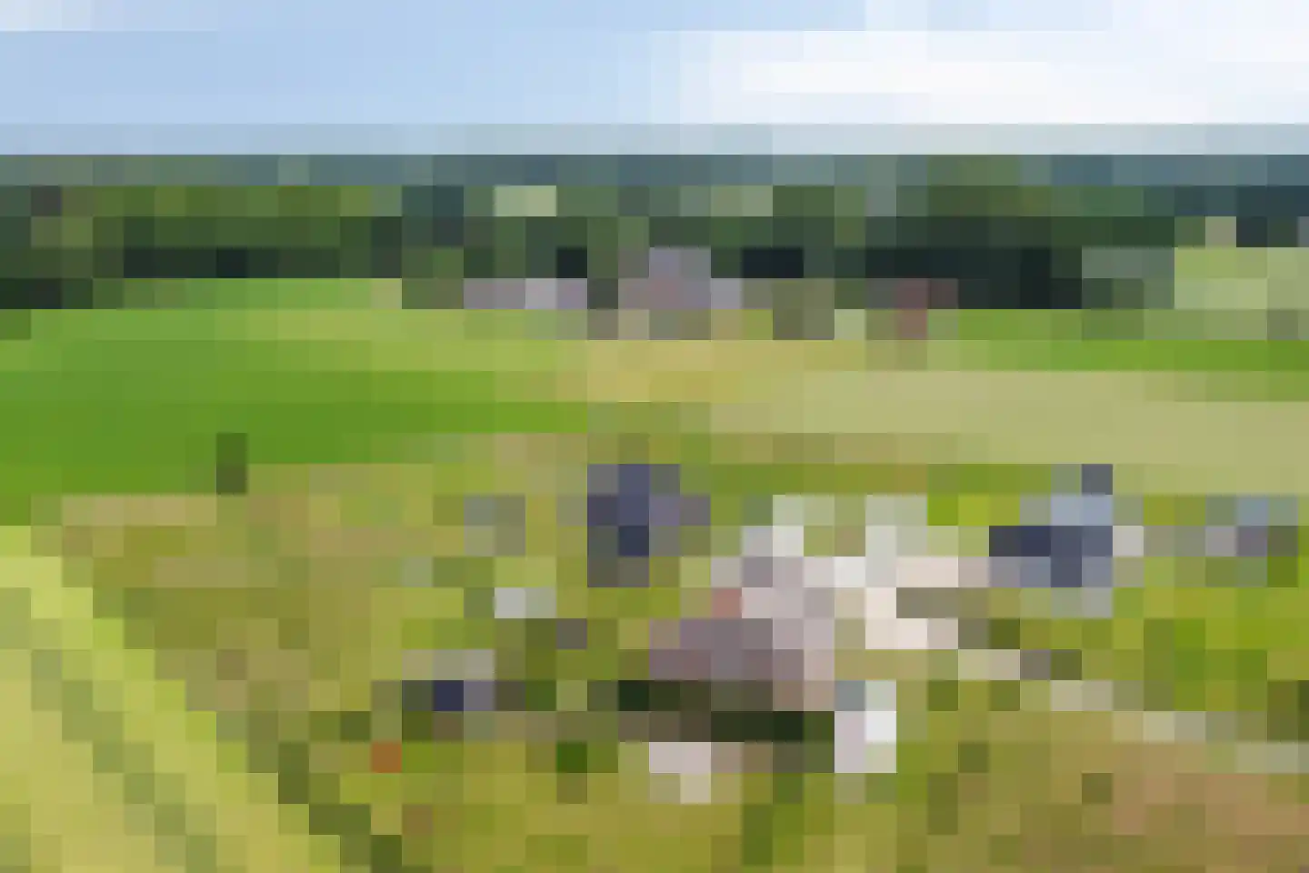 Over de Beek 12 Gaanderen thumbnail 48