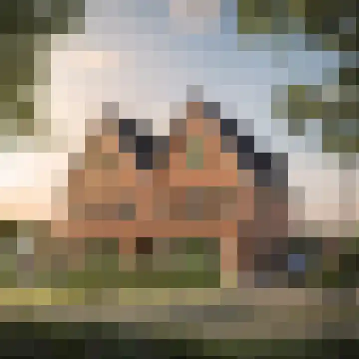 Over de Tocht 12 Zuidhorn thumbnail 10