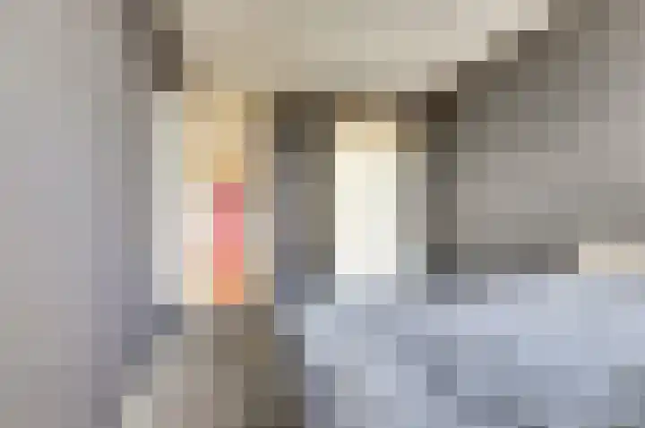 Over de Vesten 113 Schiedam thumbnail 23