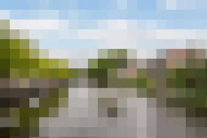 Over de Vesten 115 Schiedam thumbnail 18