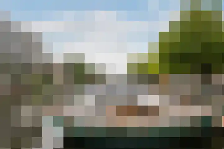 Over de Vesten 115 Schiedam thumbnail 19