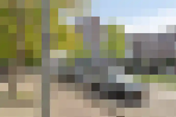 Over de Vesten 133 Schiedam thumbnail 28