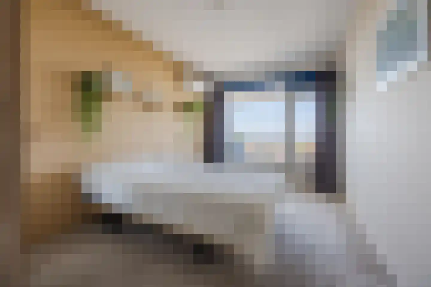 Over de Vesten 136 Schiedam thumbnail 12