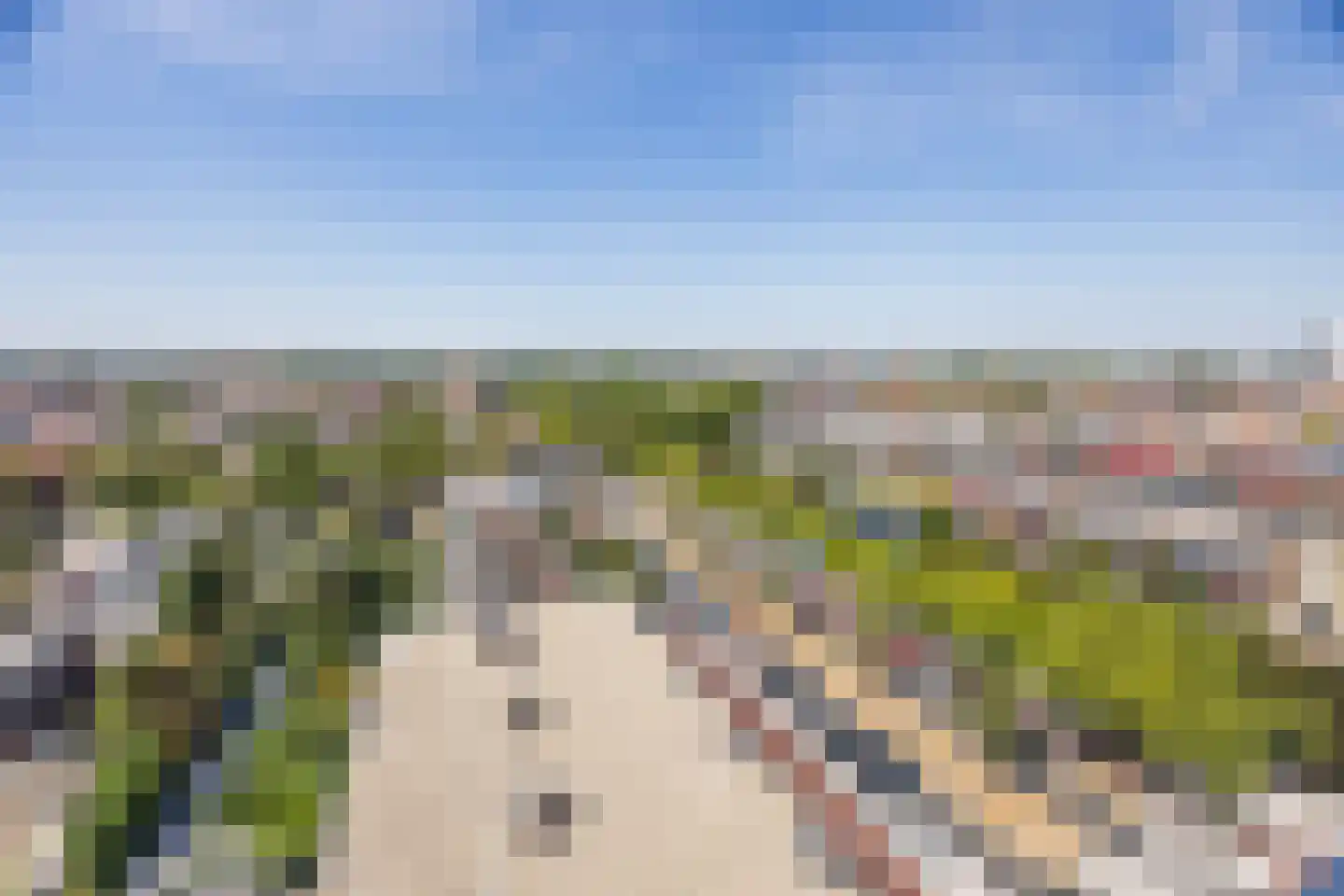 Over de Vesten 136 Schiedam thumbnail 14