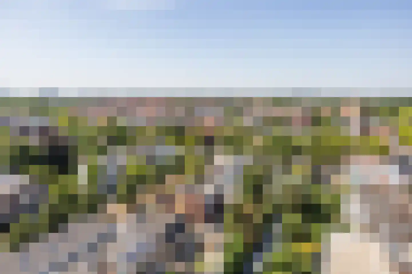 Over de Vesten 136 Schiedam thumbnail 16