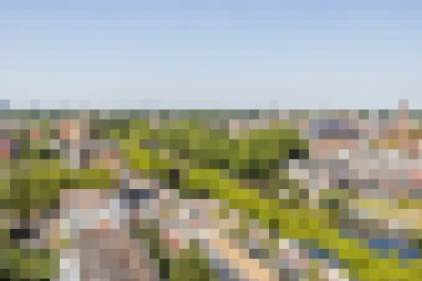 Over de Vesten 136 Schiedam thumbnail 4