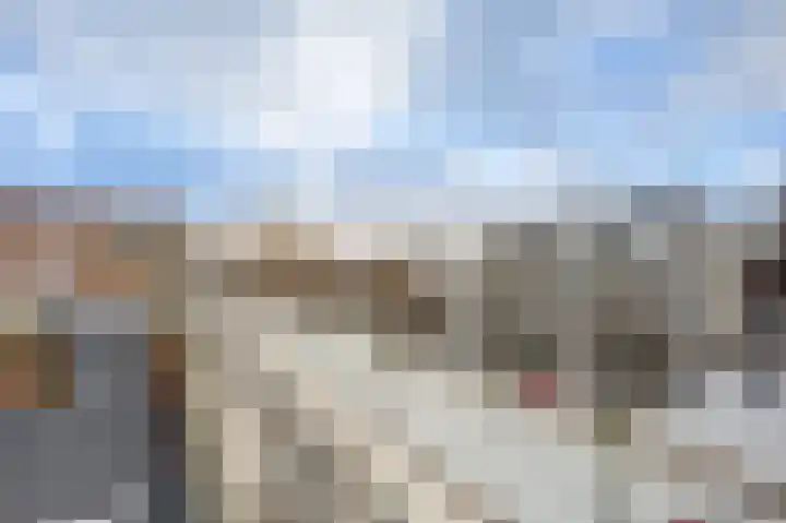 Over de Vesten 143 Schiedam thumbnail 33