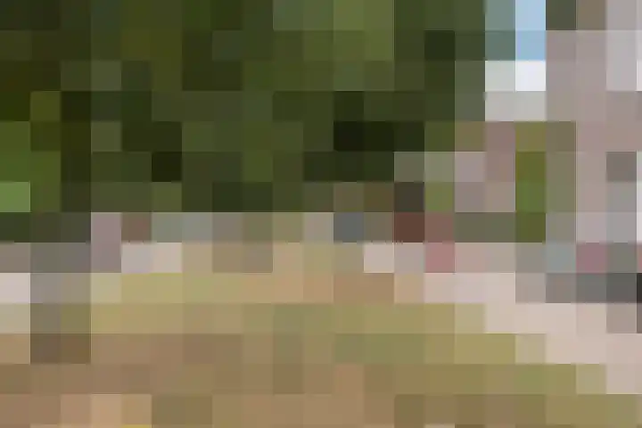 Over de Vesten 152 Schiedam thumbnail 22