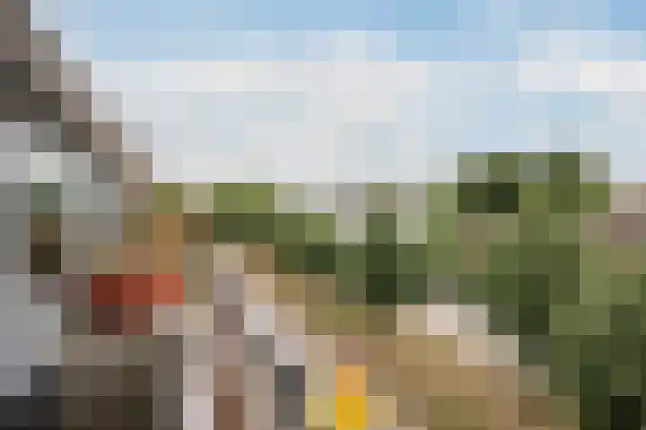 Over de Vesten 152 Schiedam thumbnail 9