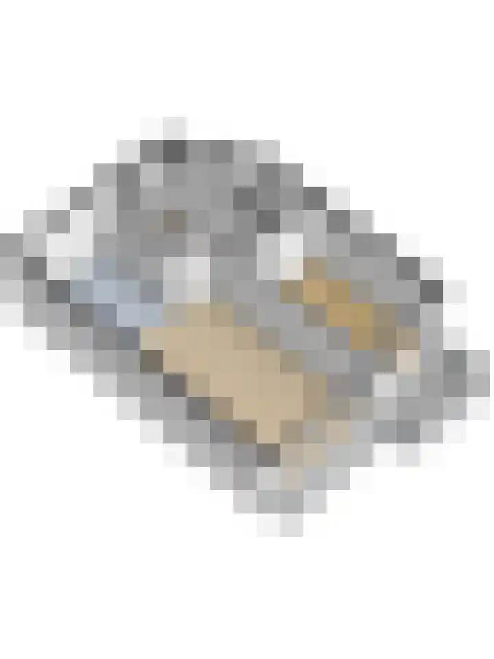 Over de Vesten 46 Schiedam thumbnail 27