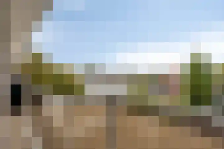 Over de Vesten 53 Schiedam thumbnail 13