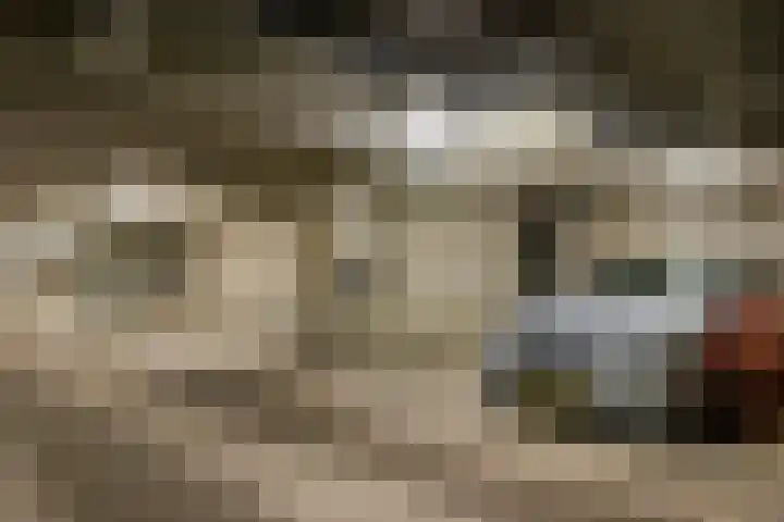Over de Vesten 53 Schiedam thumbnail 21
