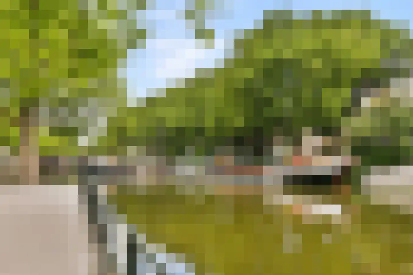 Over de Vesten 58 Schiedam thumbnail 28