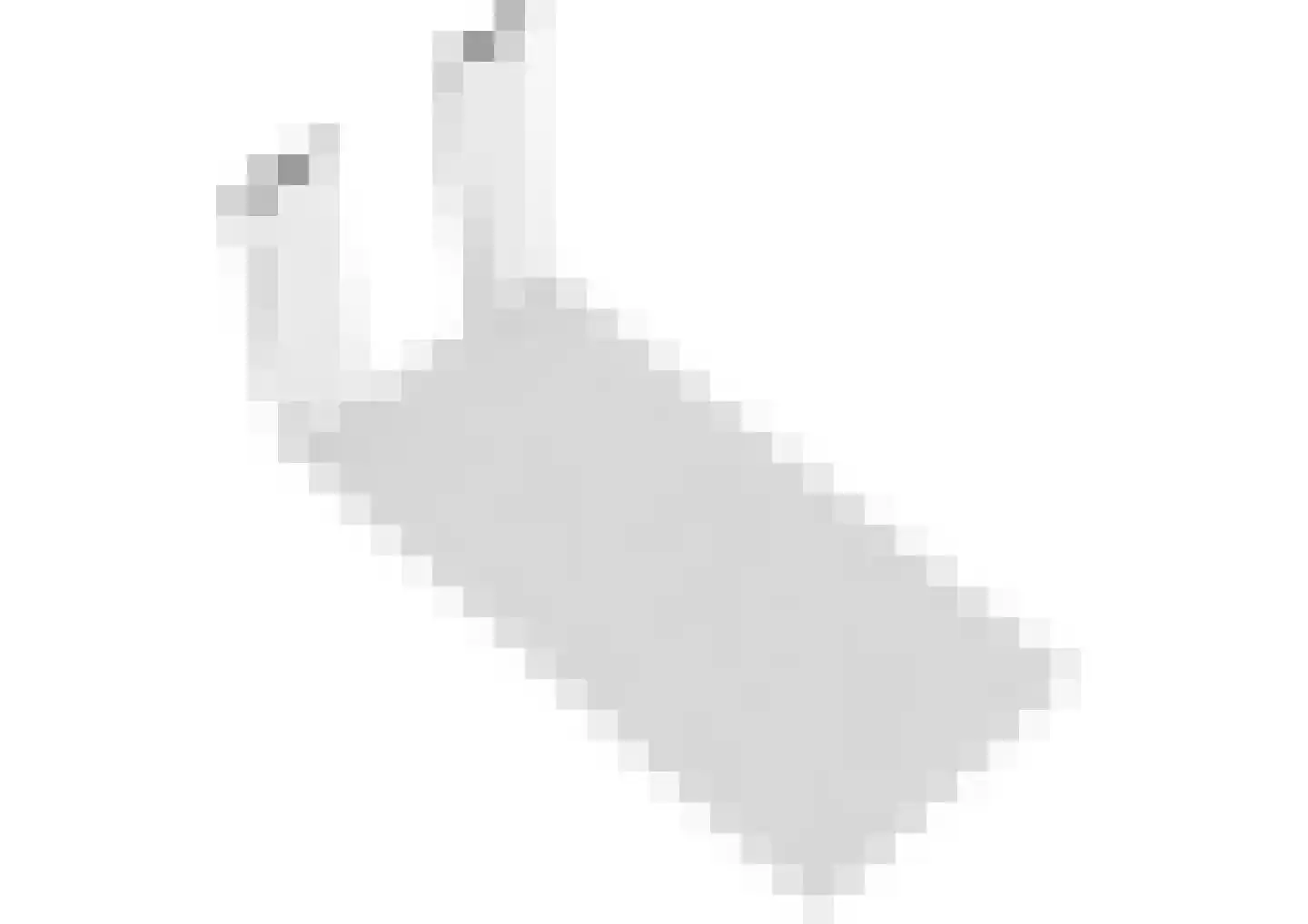 Over de Vesten 58 Schiedam thumbnail 36
