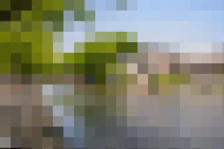 Over de Vesten 72 Schiedam thumbnail 26