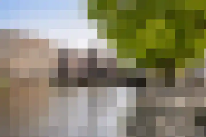 Over de Vesten 72 Schiedam thumbnail 27