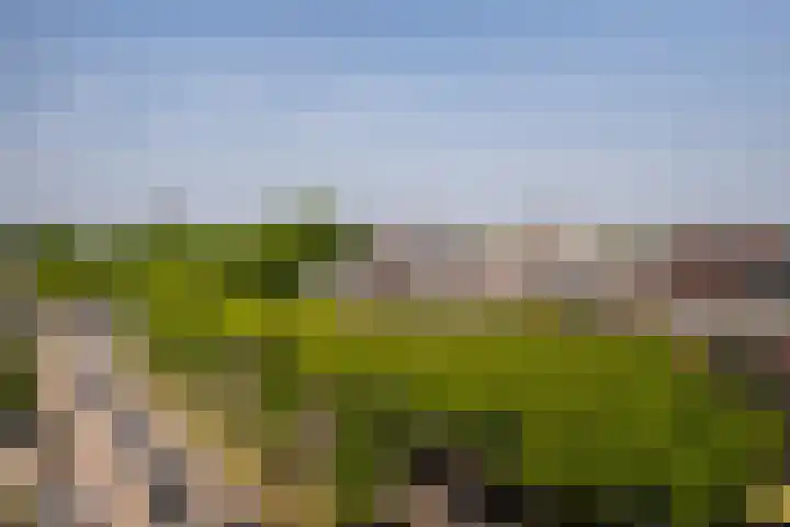 Over de Vesten 72 Schiedam thumbnail 5