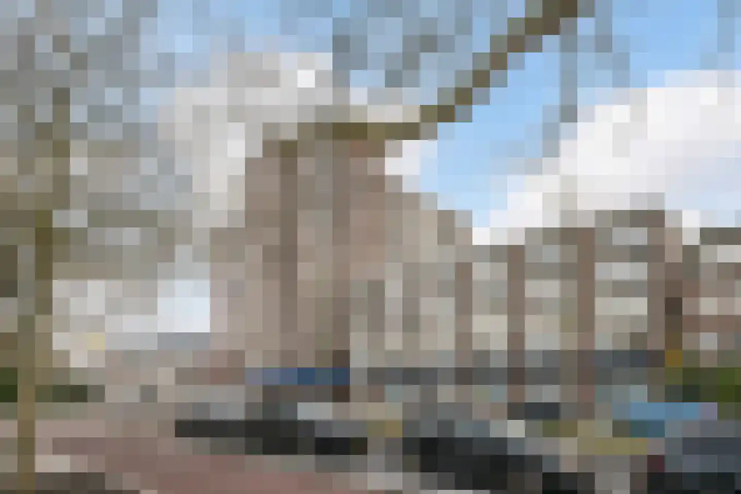 Over de Vesten 77 Schiedam thumbnail 22
