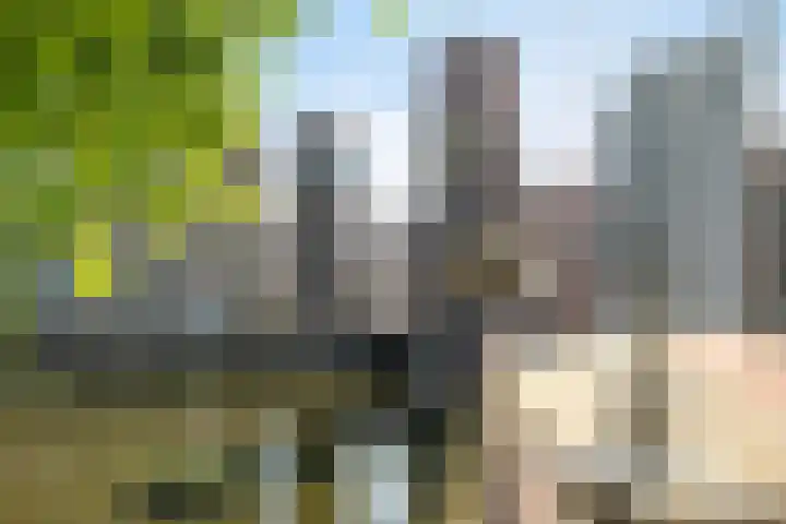Over de Vesten 85 Schiedam thumbnail 32