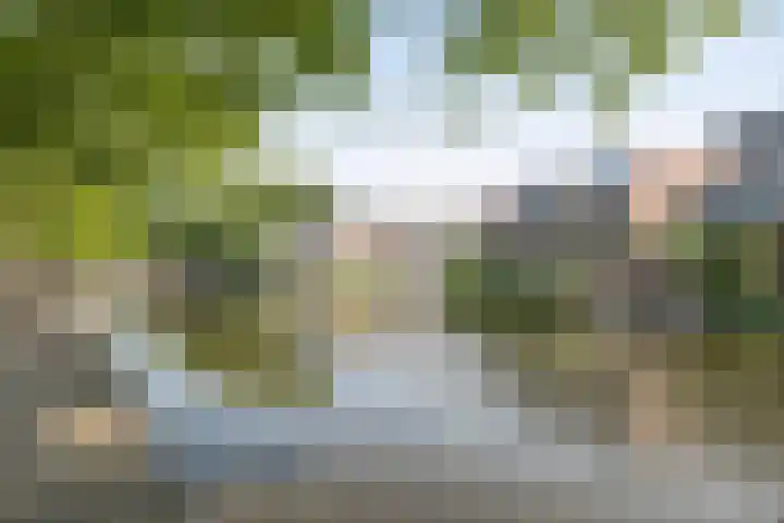 Over de Vesten 85 Schiedam thumbnail 33