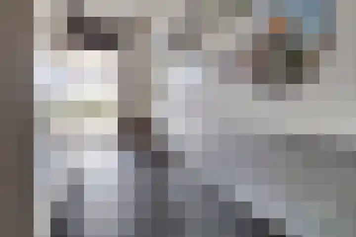 Over de Vesten 85 Schiedam thumbnail 7