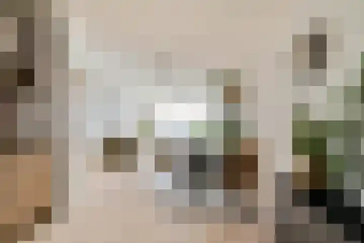 Over de Vesten 96 Schiedam thumbnail 6