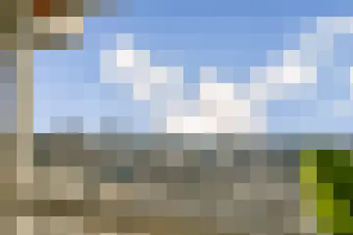 Over de Vesten 96 Schiedam thumbnail 8
