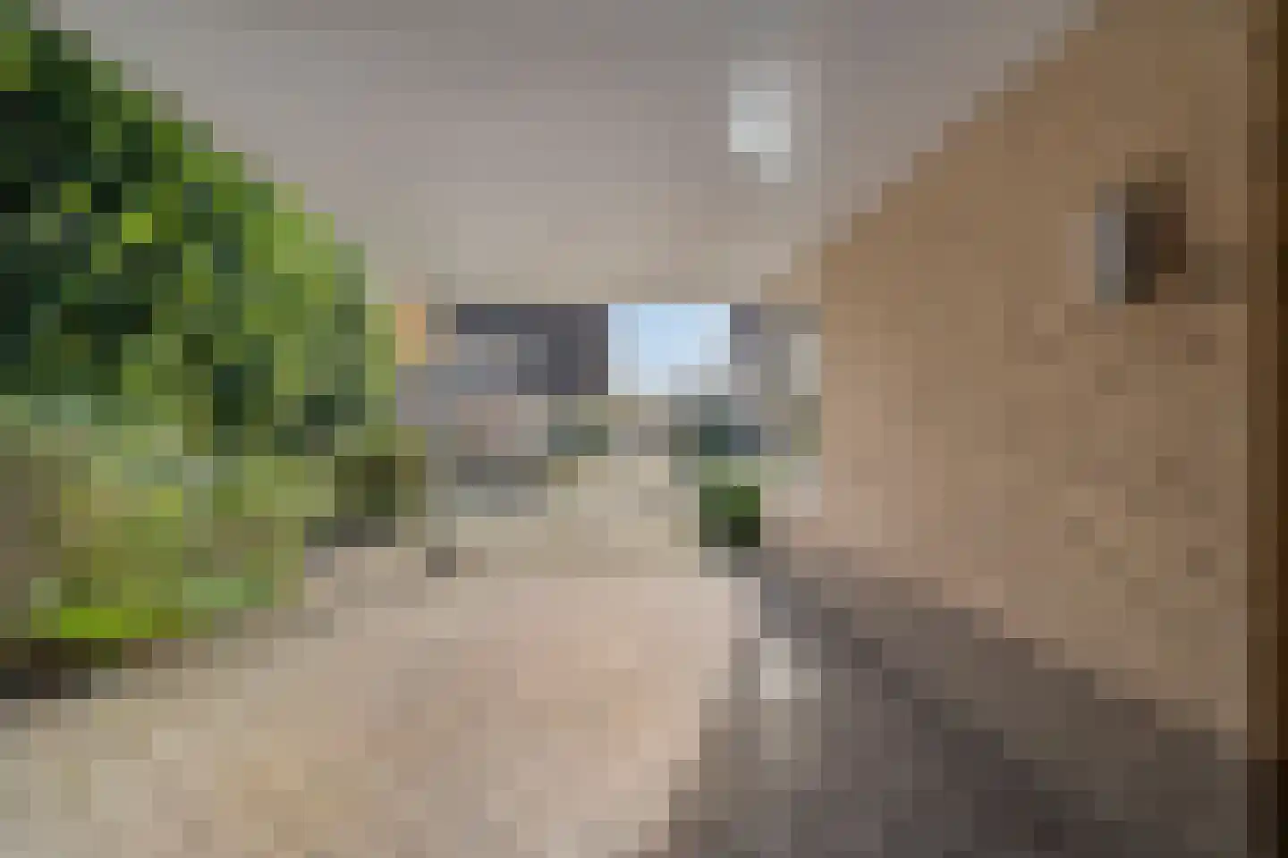 Over de Waand 23 Ruinen thumbnail 10