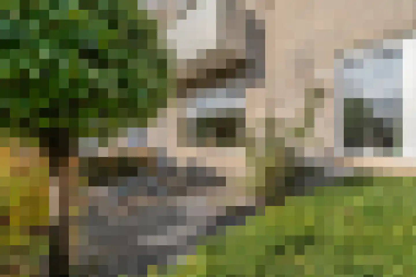 Over de Waand 23 Ruinen thumbnail 6
