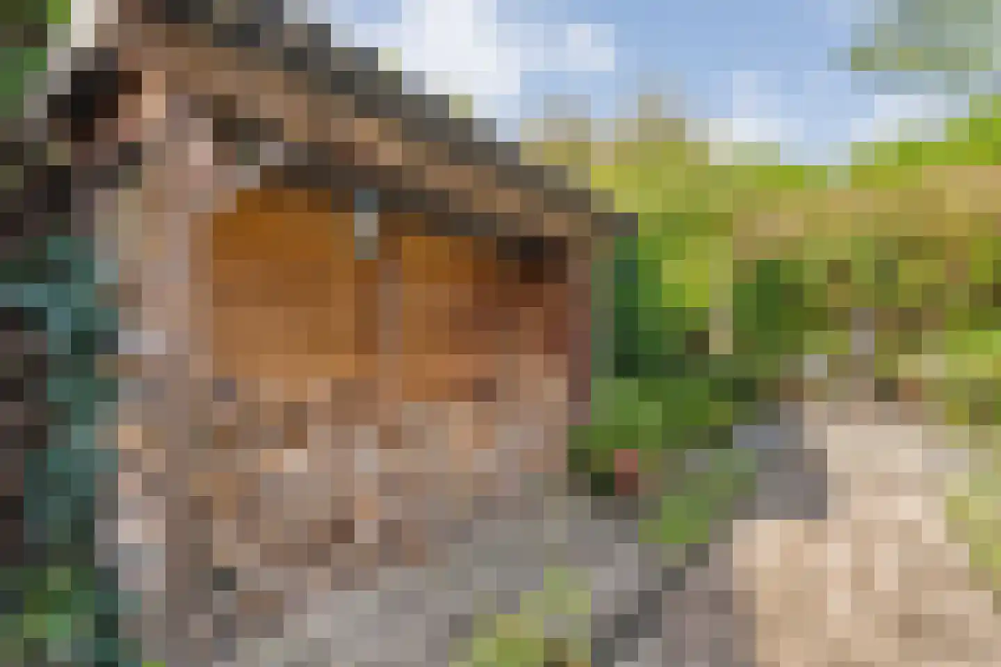 Over de Waand 23 Ruinen thumbnail 61