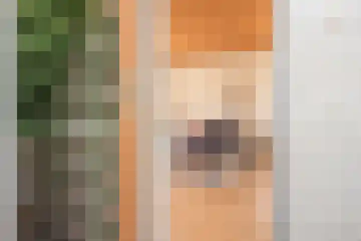 Over den Dries 33 Nistelrode thumbnail 13